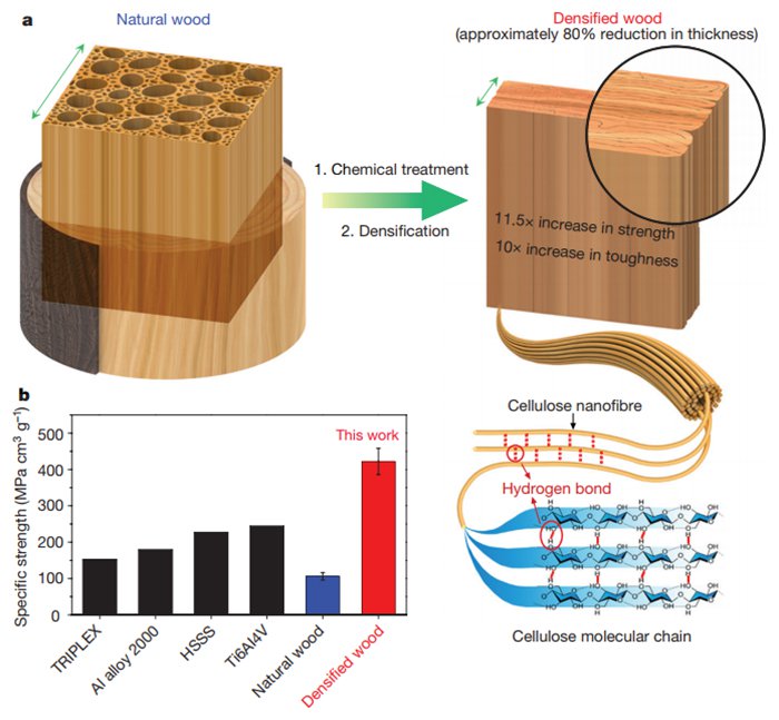 construire en bois des maisons individuelles